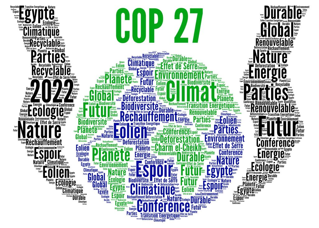 Cop 27